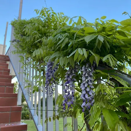 Laguna - Terrazza Panoramica Daire Cavallino-Treporti